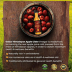Dabur Himalayan Organic Apple Cider Vinegar with Mother Of Vinegar - Distacart