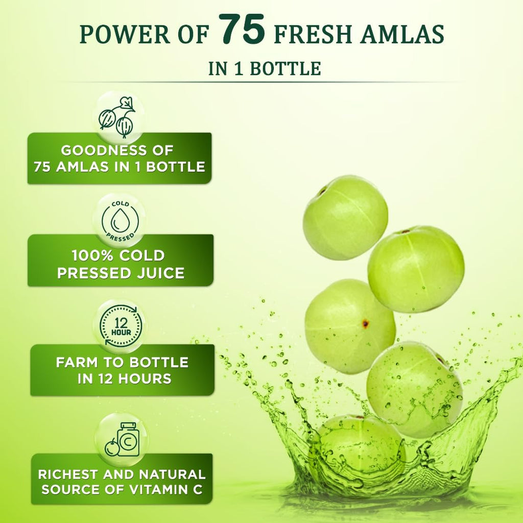 Vansaar Amla Juice - Distacart