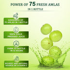 Vansaar Amla Juice - Distacart