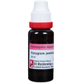 Dr. Reckeweg Syzygium J Mother Tincture Q - Distacart