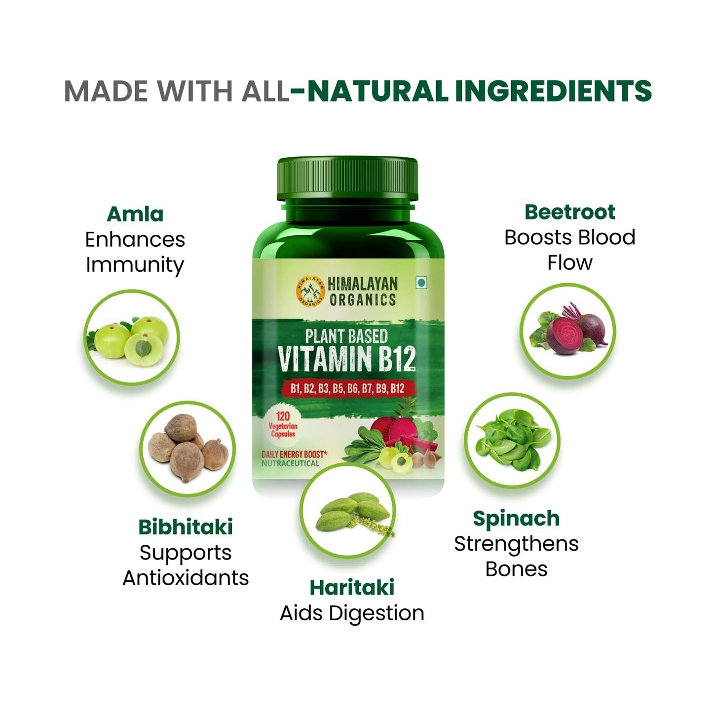Himalayan Organics Organic B12 500mg Vegetarian Capsules - Distacart
