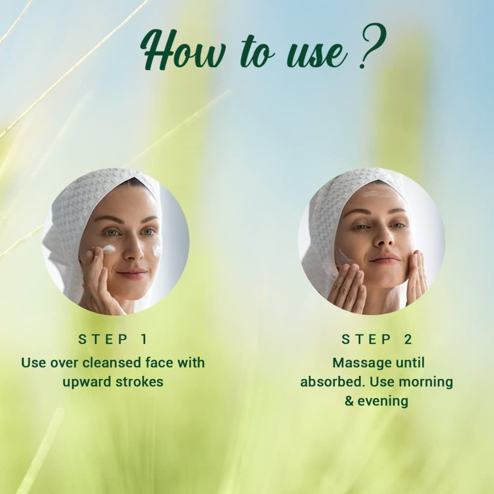 Biotique Advanced Ayurveda WheatGerm Anti-Ageing Night Cream - Distacart