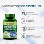 Himalayan Organics Probiotics Supplement 50 billion Prebiotics Capsules - Distacart