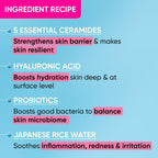 Dot & Key Barrier Repair Hydrating Gentle Face Wash For Dry, Normal & Sensitive Skin With Hyaluronic & Rice Water