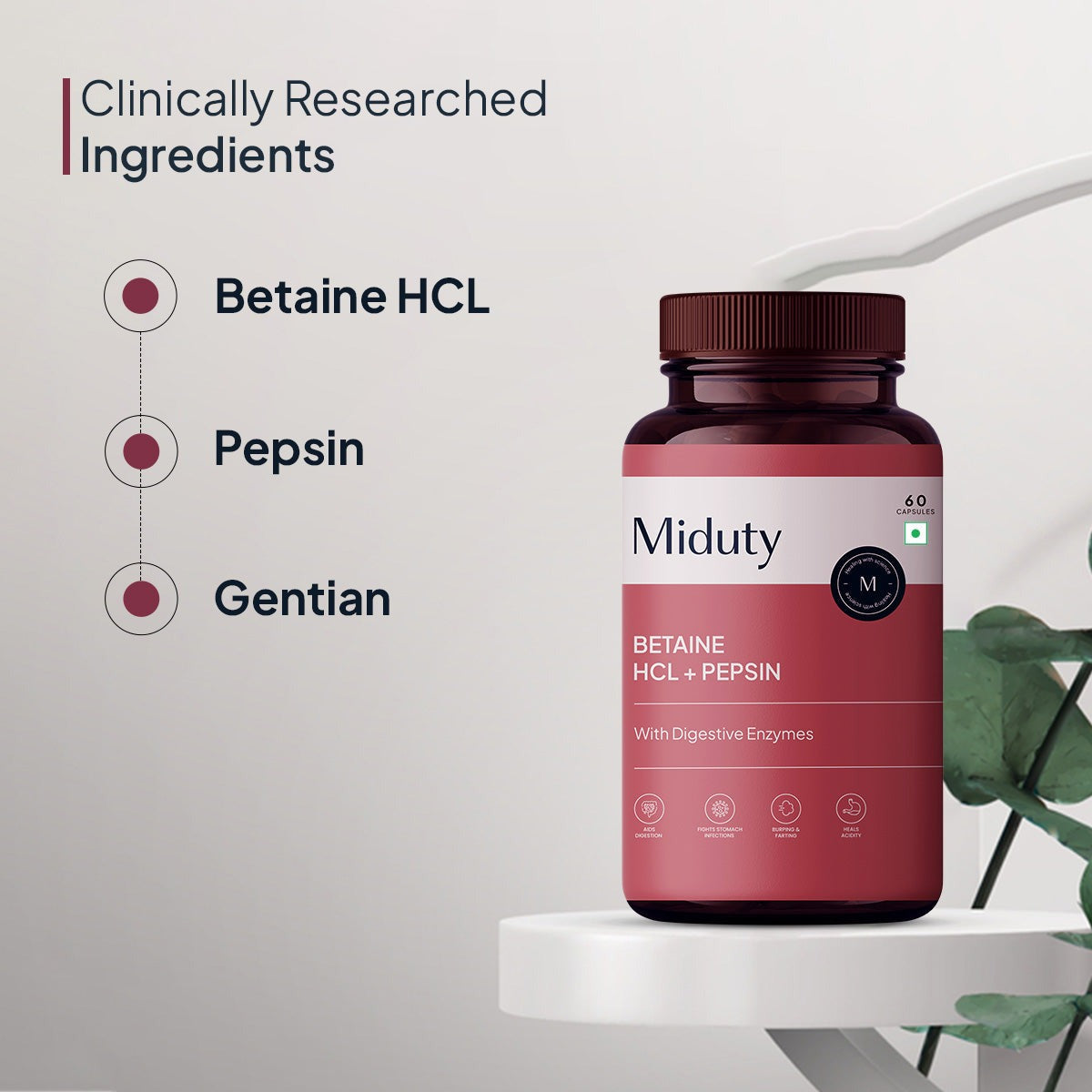 Miduty by Palak Notes Betaine HCL + Pepsin Capsules - Distacart