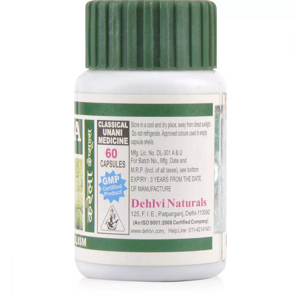 Dehlvi Bitter Melon Karela Capsules - Distacart
