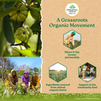 Organic India Garcinia Capsules - Distacart