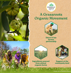 Organic India Garcinia Capsules - Distacart