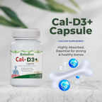 Rajasthan Herbals International Cal-D3+ Capsules - Distacart