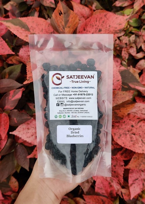 Satjeevan Organic Dried Blueberries - Distacart