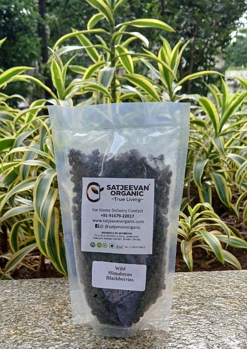 Satjeevan Wild Himalayan Blackberries - Distacart