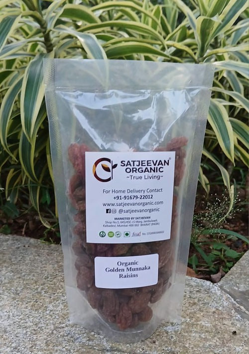 Satjeevan Organic Golden Munakka Raisins - Distacart