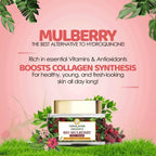Himalayan Organics Bio Mulberry Face Cream