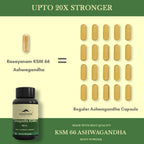 Rasayanam Ashwagandha KSM-66 Capsules - Distacart
