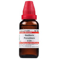 Dr. Willmar Schwabe India Gaultheria Procumbens Dilution - Distacart