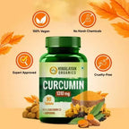 Himalayan Organics Curcumin Tablets