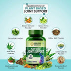Himalayan Organics Plant Based Joint Support Vegetarian Capsules - Distacart