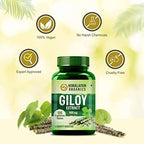 Himalayan Organics Giloy Extract 500 mg Tablets - Distacart