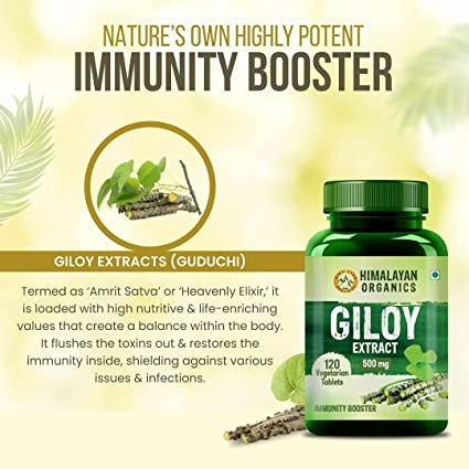 Himalayan Organics Giloy Extract 500 mg Tablets - Distacart