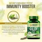 Himalayan Organics Giloy Extract 500 mg Tablets - Distacart