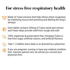 Himalaya Wellness Pure Herbs Tulasi Respiratory Wellness - 60 Tablets - Distacart