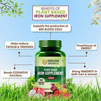 Himalayan Organics Plant Based Iron Supplement + Folate Vegetarian Capsules - Distacart