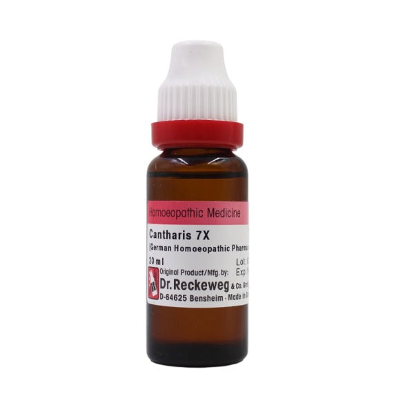 Dr. Reckeweg Cantharis Mother Tincture Q