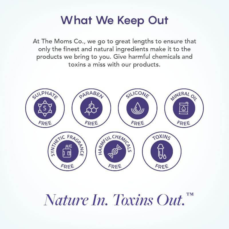 The Moms Co Natural Fruit Lip Balm