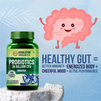 Himalayan Organics Probiotics 35 Billion CFU Prebiotics Vegetarian Capsules - Distacart