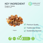Merlion Naturals Guggulu 500mg Tablets - Distacart