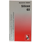 Dr. Reckeweg Silicea Biochemic Tablets - Distacart