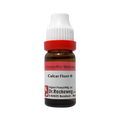 Dr. Reckeweg Calcarea Fluoricum Dilution - Distacart