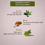 Ancient Living Tea Tree Face Wash