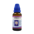 Father Muller Spigelia Dilution