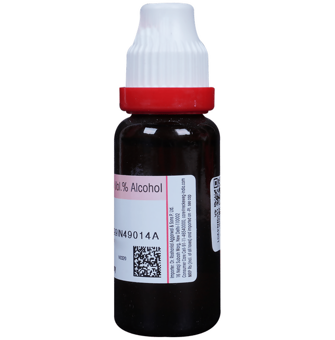 Dr. Reckeweg Allium Sativum Mother Tincture Q - Distacart
