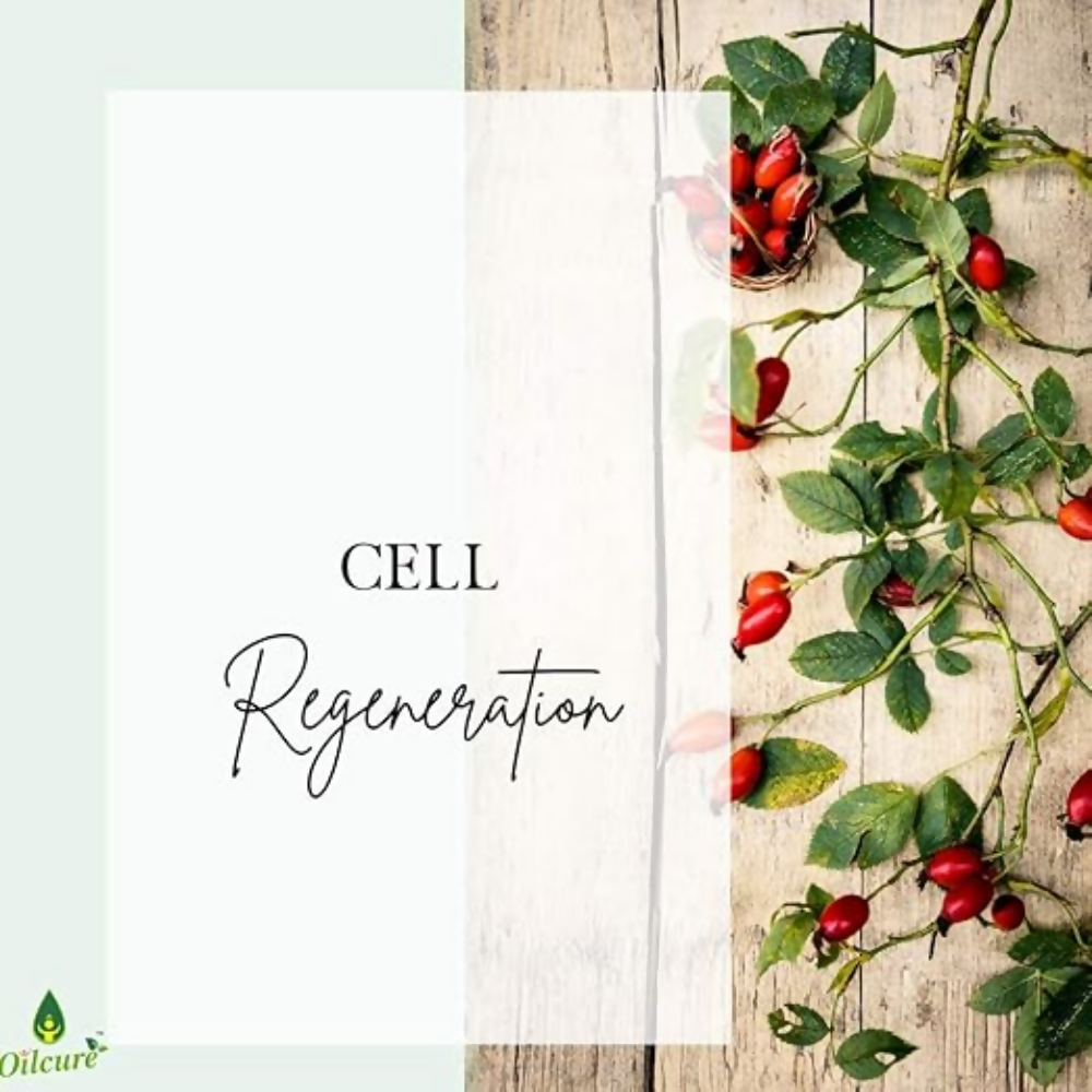 Oilcure Rosehip Oil