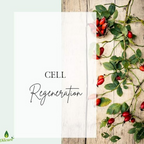 Oilcure Rosehip Oil