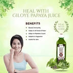 Axiom Ayurveda Giloye Papaya Juice - Distacart