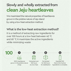 Dewytree Heartleaf 100 Korean Serum