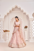 Eilara Women'S Baby Pink Butterfly Net Embroidered Thread Work Party Wear Lehenga Choli