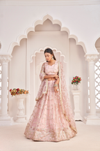 Eilara Women'S Baby Pink Butterfly Net Embroidered Thread Work Party Wear Lehenga Choli