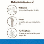 Soultree Hair & Body Wash - Aamla & Vetiver with Purifying Neem