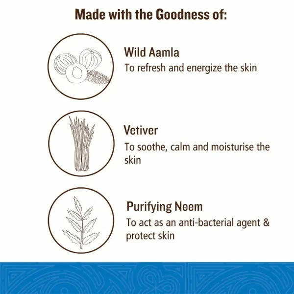 Soultree Hair & Body Wash - Aamla & Vetiver with Purifying Neem