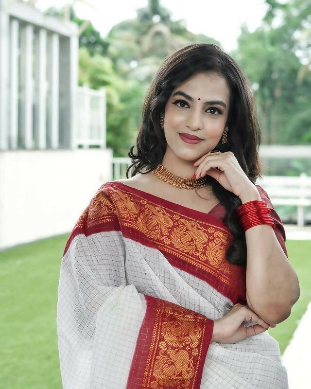 DEIANA'S Beautiful Designer Golden zari Soft Lichi Silk Saree - Red
