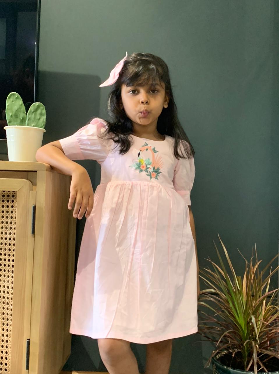 ArthLife Pink Flamingo Embroidered Dress