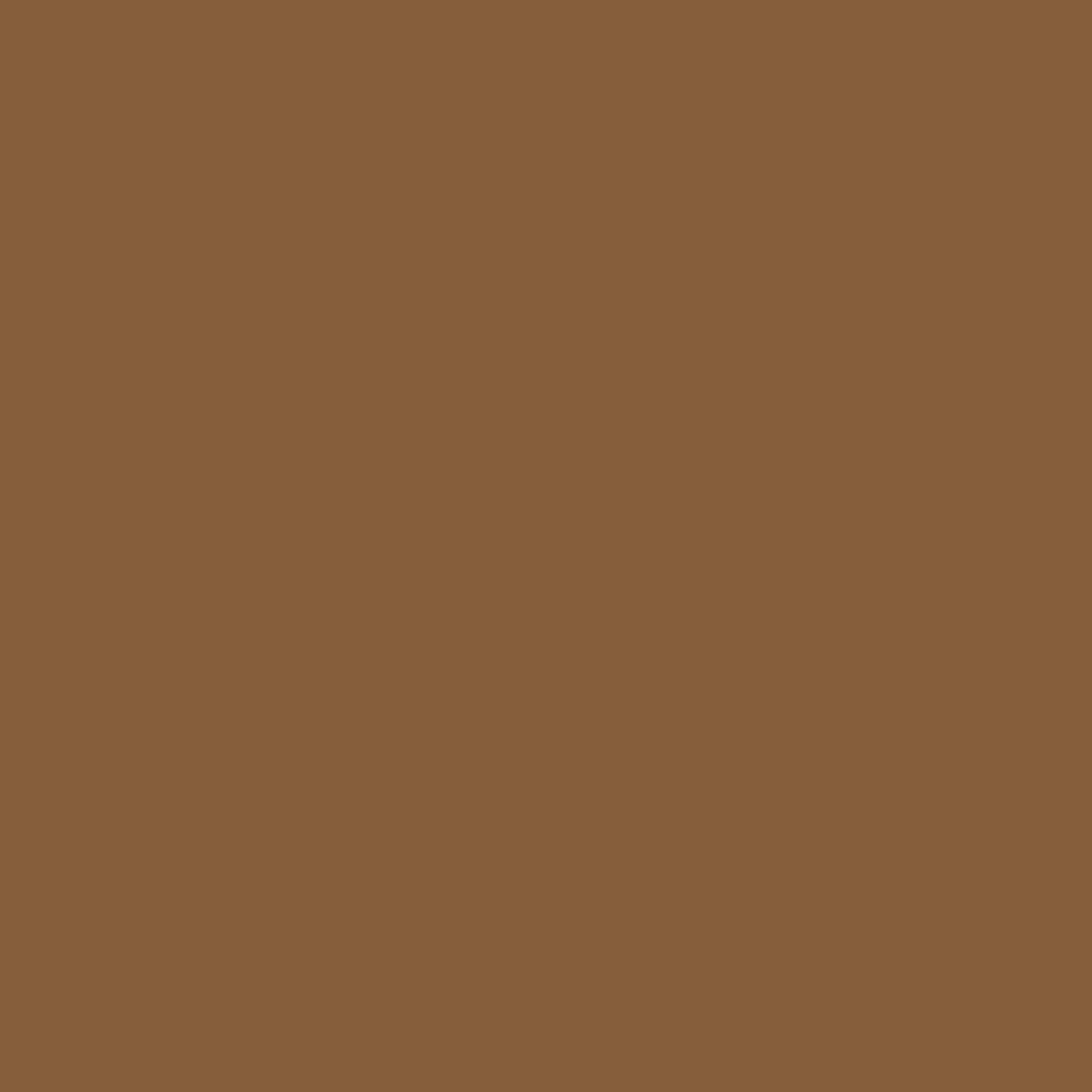 kinded liquid eye liner camel brown