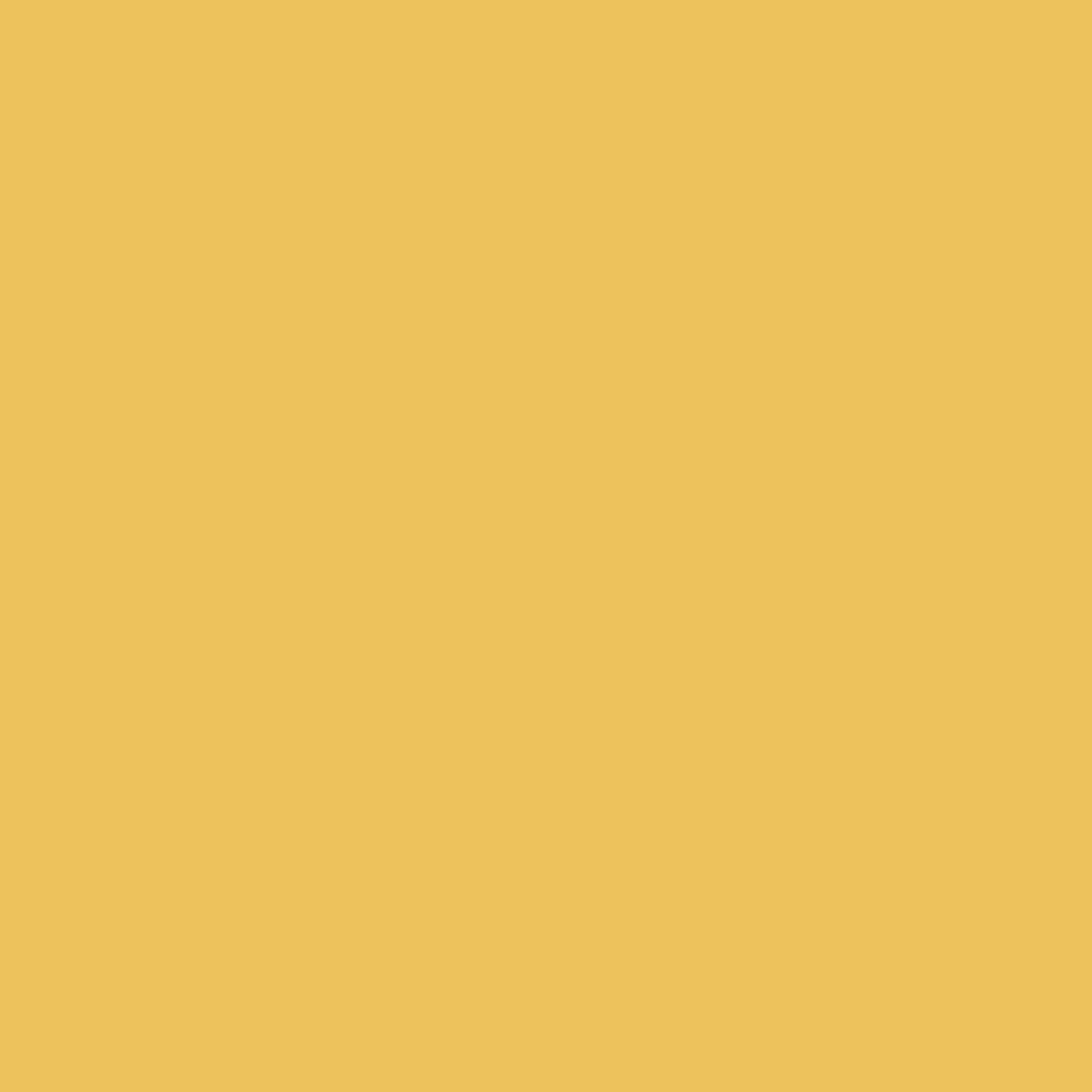 KINDED Liquid Metallic Eye Liner - Golden Glaze