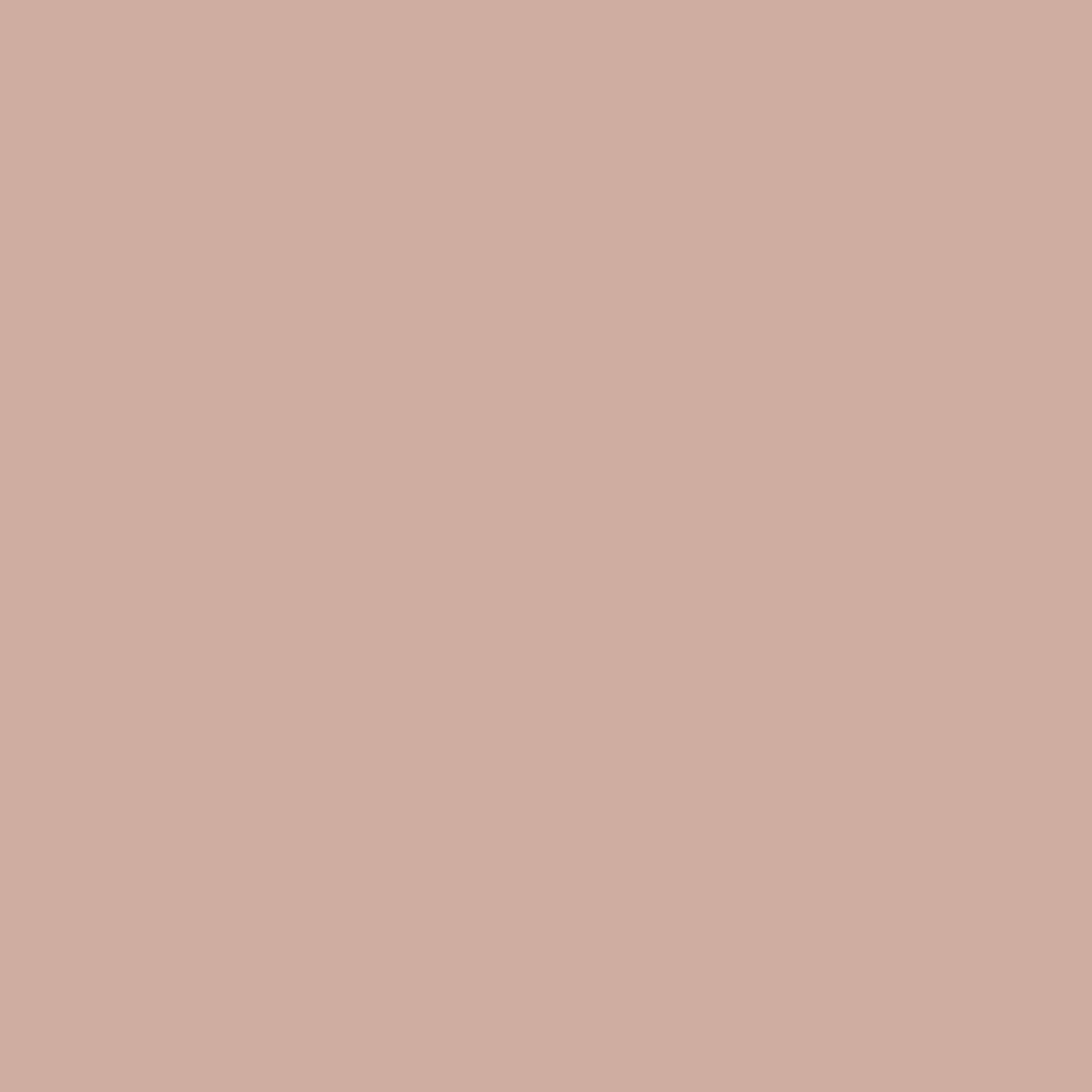 kinded mousse shimmer highlighter rose gold