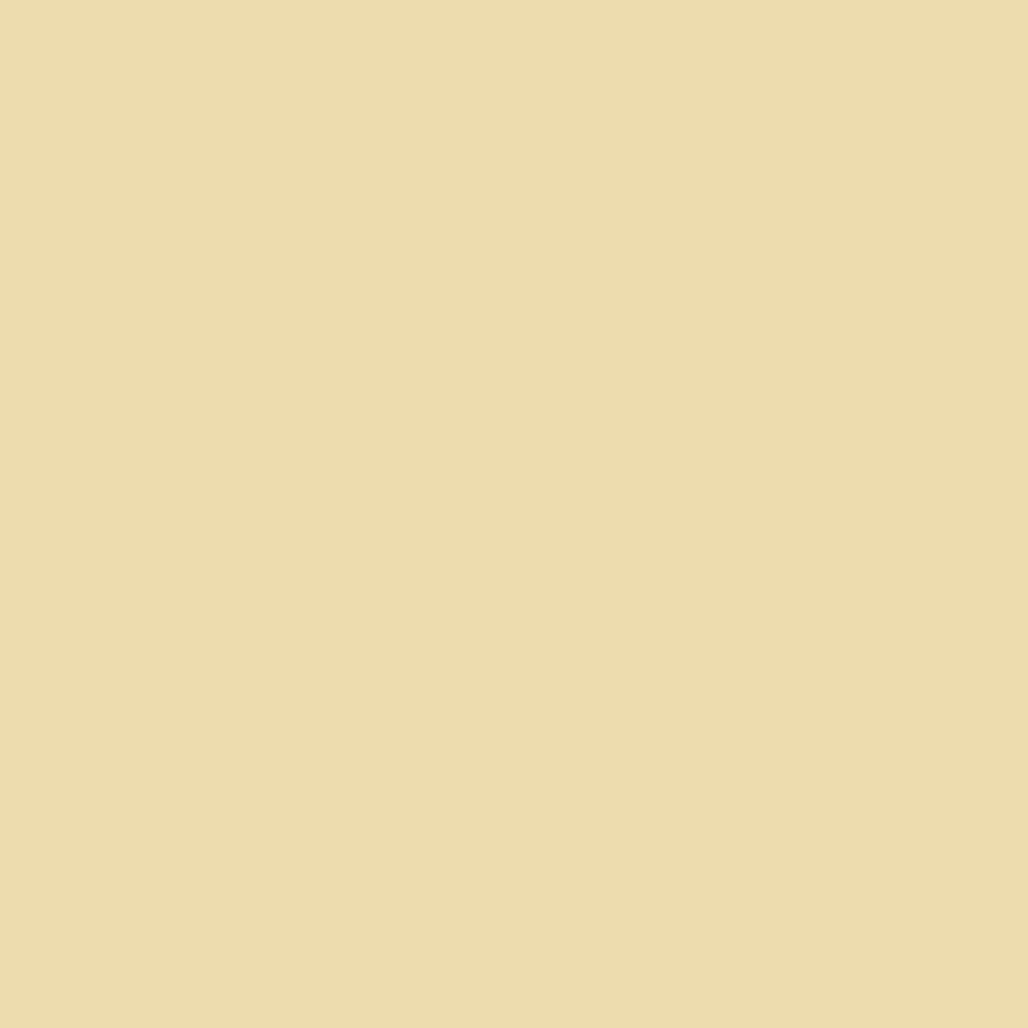 kinded liquid concealer yellow tone