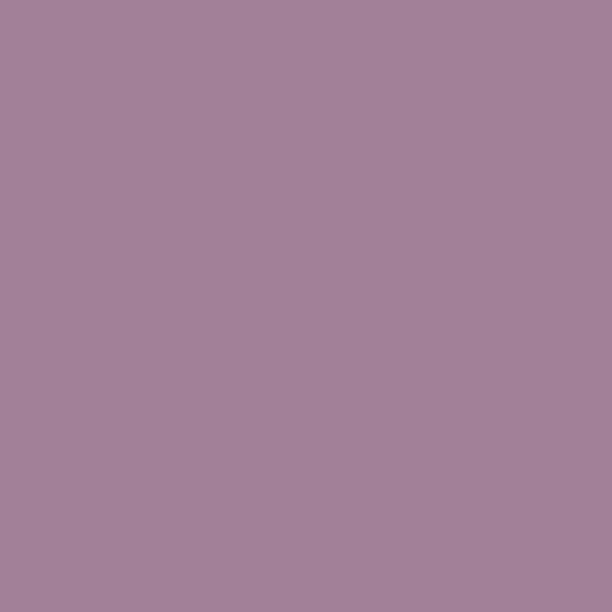 KINDED Loose Shimmer Makeup Foil Pigments Powder - Pinkish Purple